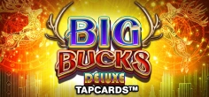 Big Bucks Deluxe Tapcards