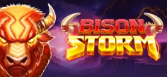 Bison Storm