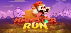 Hamster run