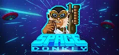 Space Donkey