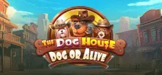 The Dog House - Dog or Alive