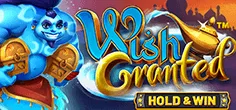 Wish Granted